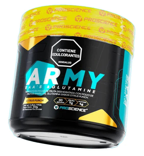 ARMY 30 SERV