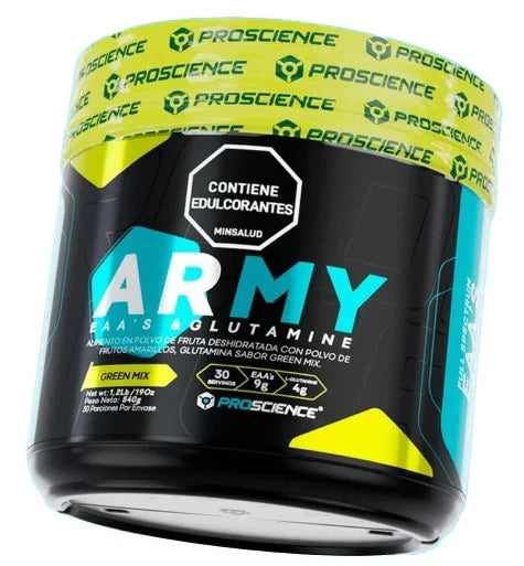 ARMY 30 SERV